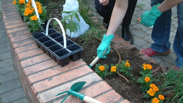 Guerilla gardening v praském Karlín