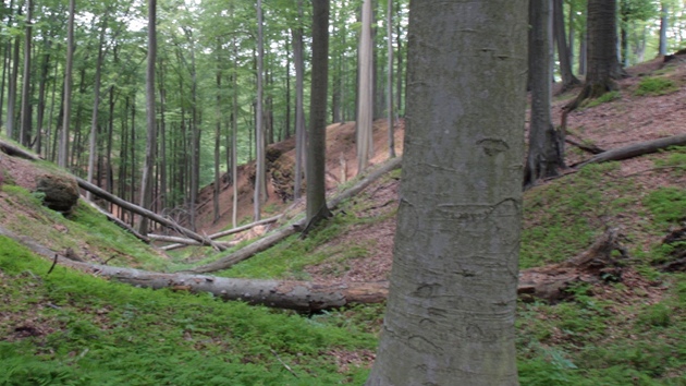 Ralsko - Blá pod Bezdzem - lesnický park