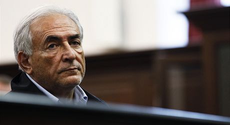 Dominique Strauss-Kahn vysoudil milionové odkodné za knihu, kterou o nm napsala jeho bývalá milenka.