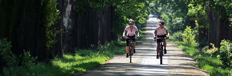 Cyklisté se ve stedních echách dokají dalích sedmi cyklostezek. (Ilustraní snímek)