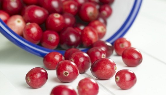 Brusinky pomáhají napíklad pi zántech moových cest a obsahují mnoho antioxidant.