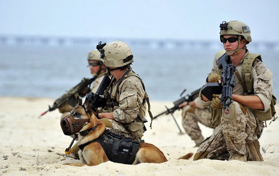 Speciáln vycviení psi pomáhají americkým vojákm v akcích