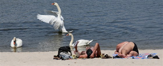 Podle hygieniků trápí vodu na Máchově jezeře také sinice.