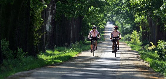 Cyklisté se ve středních Čechách dočkají dalších sedmi cyklostezek. (Ilustrační snímek)