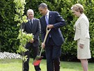 Barack Obama sad v Irsku strom. Vpravo postv irsk prezidentka Mary McAleeseov (23. kvtna 2011)