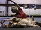psí jóga