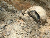 Archeologové odkryli v dobronínské lokalitě U Viaduktu pozůstatky dvou lidí.