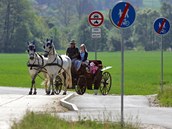 Po cyklostezce z Kynšperka do Chebu se můžete vydat i na vyhlídkovou jízdu kočárem taženým koňmi. 