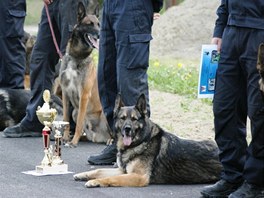 Krajskho peboru kynolog v Jihlav se zastnilo 17 psovod.
