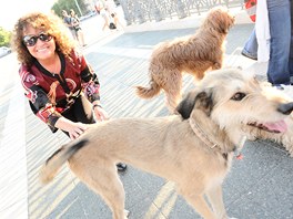 Jitka Zelenkov s psy v Budapeti 