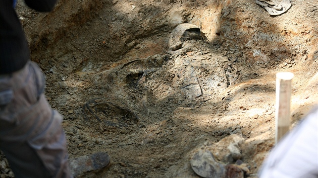 V dobronínské lokalitě U Viaduktu nalezli archeologové pozůstatky tří lidí, kosti nyní prozkoumají odborníci.