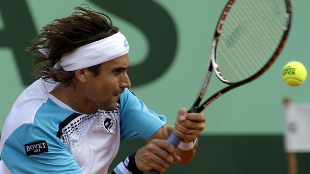 David Ferrer