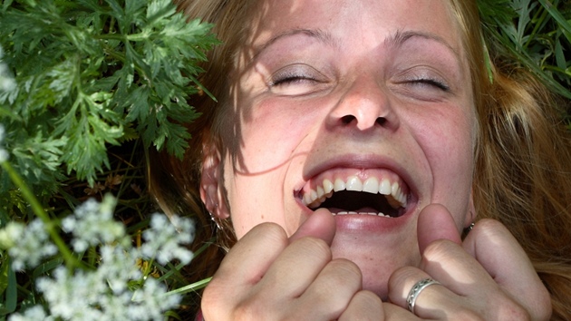 Ilustra�ní snímek.