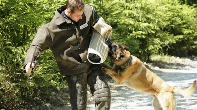 Krajského peboru kynolog v Jihlav se zúastnilo 17 psovod.