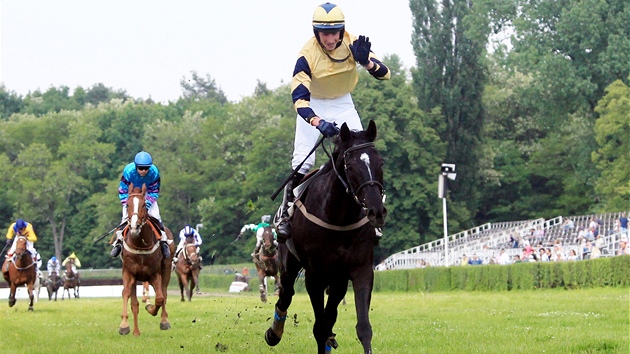 První kvalifikaci na Velkou pardubickou 2011 vyhrál k Baggio s okejem Jaroslav Myka.