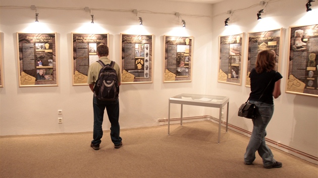 V muzeu v Novém Straecí vystavili na jeden den opukovou hlavu Kelta.
