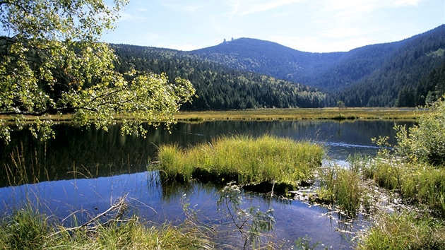 Malé javorské jezero (Kleiner Arbersee)