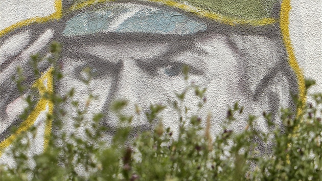Graffiti generála Ratko Mladie v Blehrad (29. kvtna 2011)