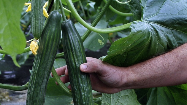 Ilustra�ní snímek