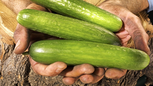 Ilustra�ní snímek