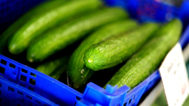 Ilustra�ní snímek