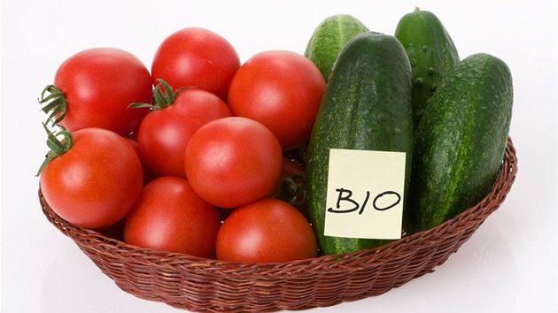 Vypěstovat si vlastní BIO rajčata či okurky zase není takový problém, jen musíte vědět, jak na to