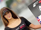 Grid girl p�i �eském mistrovském seriálu Podzimní cen� Masarykova okruhu 2010