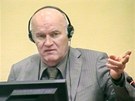 Bývalý velitel bosenskosrbské armády Ratko Mladi u soudního tribunálu v Haagu. (3. ervna 2011)