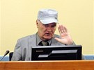 Bývalý velitel bosenskosrbské armády Ratko Mladi u soudního tribunálu v Haagu (3. ervna 2011)