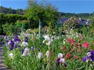 Rozkvetlá zahrada Clauda Moneta