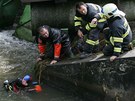 Potápi a záchranái vytáhli z jezu na Mlýnském potoku v Olomouci uitelku novojiínské koly a vodáckého instruktora, po tle chlapce, pro kterého oba skoili, vak museli pátrat více ne ti hodiny.