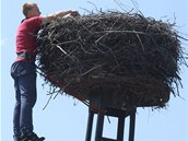 Plzet ornitologov o vkendu kroukovali leton mlata p blch v Plzeskm kraji