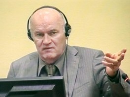 Bval velitel bosenskosrbsk armdy Ratko Mladi u soudnho tribunlu v Haagu. (3. ervna 2011)