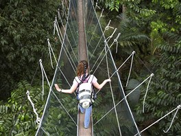 Turistka na visutém most v Národním Parku Taman Negara v Malaysii.