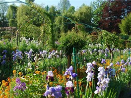 Pohled do zahrad, kter Claude Monet sm stvoil, aby mu slouily jako inspirace pro jeho obrazy.