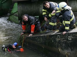 Potápěči a záchranáři vytáhli z jezu na Mlýnském potoku v Olomouci učitelku novojičínské školy a vodáckého instruktora, po těle chlapce, pro kterého oba skočili, však museli pátrat více než tři hodiny.