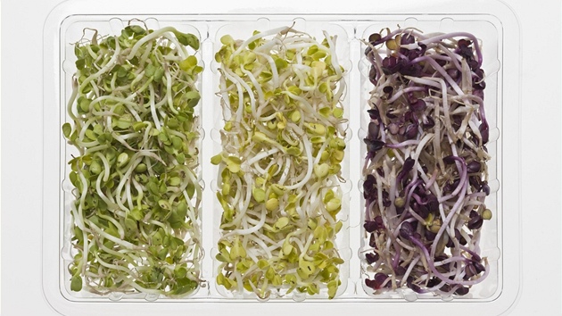 Ilustra�ní snímek