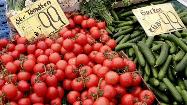 V Nmecku kvli strachu z nákazy  klesla cena zeleniny (7. ervna 2011)