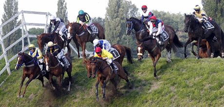 Mezi úastníky 2. kvalifikace na letoní Velkou pardubickou byl i Ronino ze stáje Wrbna Racing (úpln vpravo). S okejem Jaroslavem Mykou skonili tvrtí.