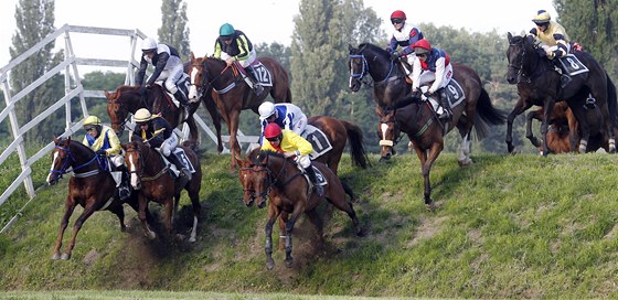 Mezi úastníky 2. kvalifikace na letoní Velkou pardubickou byl i Ronino ze stáje Wrbna Racing (úpln vpravo). S okejem Jaroslavem Mykou skonili tvrtí.