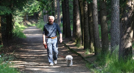 Srní dl v Jablonci je oblíbená rekreaní i sportovní oblast. Na snímku...