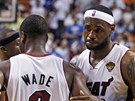 Dwyanu Wadeovi (vlevo) a LeBronu Jamesovi z Miami Heat to tentokrát s titulem NBA vevylo.