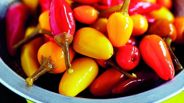 Naloené chilli papriky.