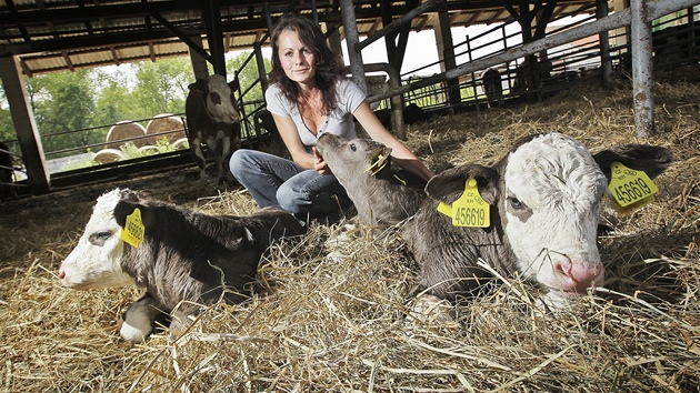 Na farm v Pivkovicích se narodila trojata jaloviek. Na snímku je s nimi vedoucí ivoiné výroby Jana Motyková. 