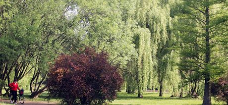 Mezi majetek rodiny Riedlových patilo slavné arboretum v Bílé Lhot (ilustraní foto)