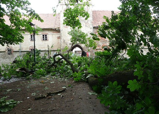 Na most v zámeckém parku v Brtnici se v neděli zřítily mohutné větve. Brtnický