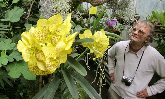 Botanická zahrada v Táboe vystavuje 200 orchidejí, na snímku si je prohlíí Václav Kopiva.