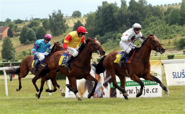 Dostihy ve Slu�ovicích. Steeplechase 4200 m.