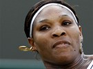 Serena Williamsová ve 2. kole Wimbledonu