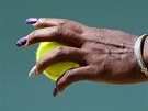 Serena Williamsová se pipravuje na podání